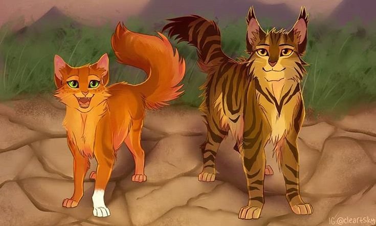 Коты воители белка и ежевика арты