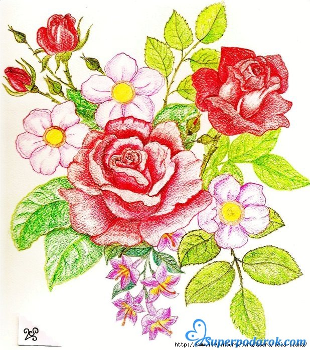 Рисунки цветов