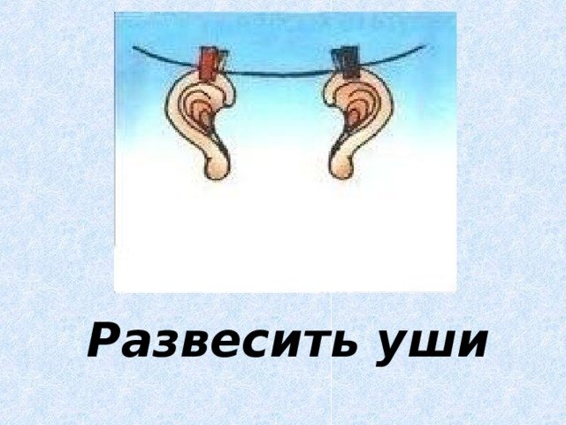 Фразеологизмы в картинках развесить уши