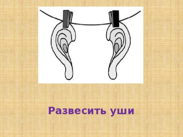 Фразеологизм развесить уши рисунок