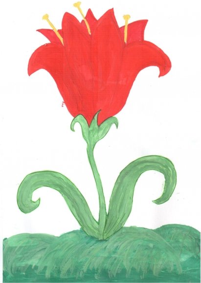 Аленький цветок рисунок
