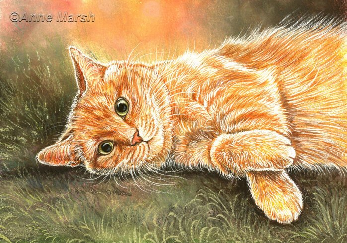 Рыжая кошка рисунок