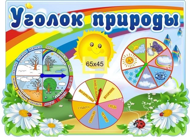 Уголок природы