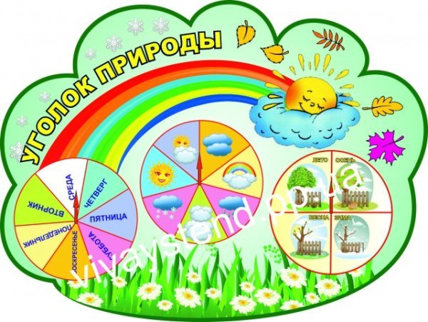 Уголок природы в детском саду