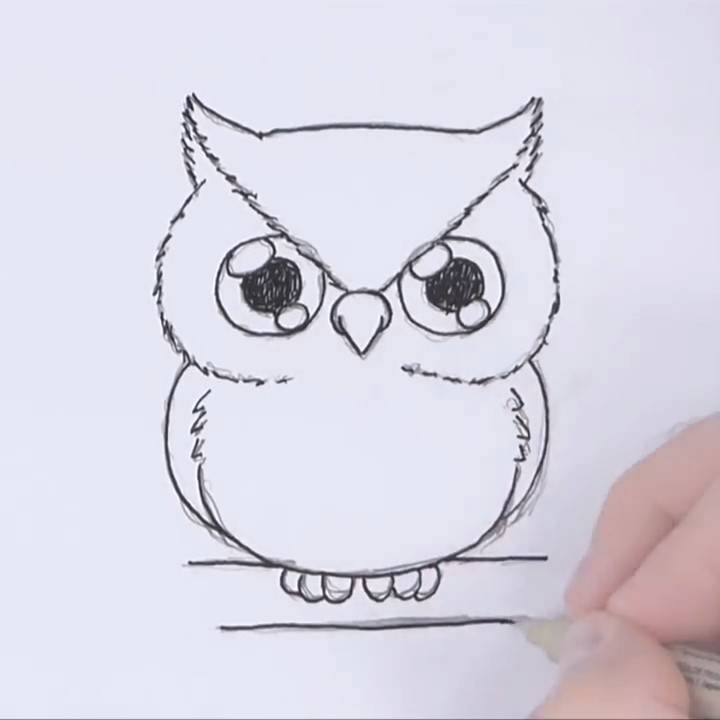 Картинки сов для срисовки большие