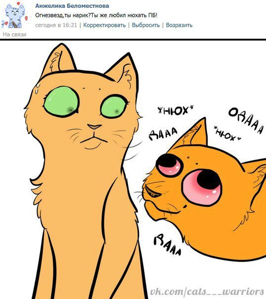 Коты Воители приколы