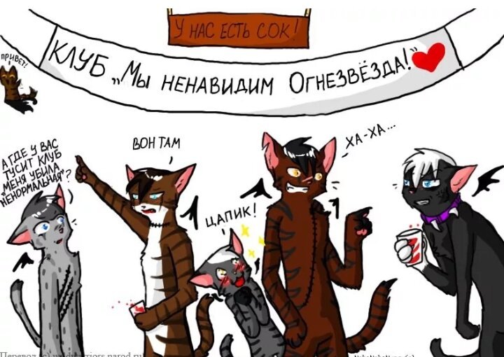 Коты Воители мемы приколы