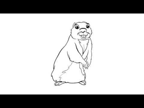 Суслик рисунок карандашом
