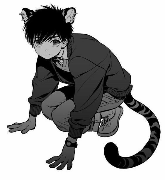 Кошкомальчик аниме