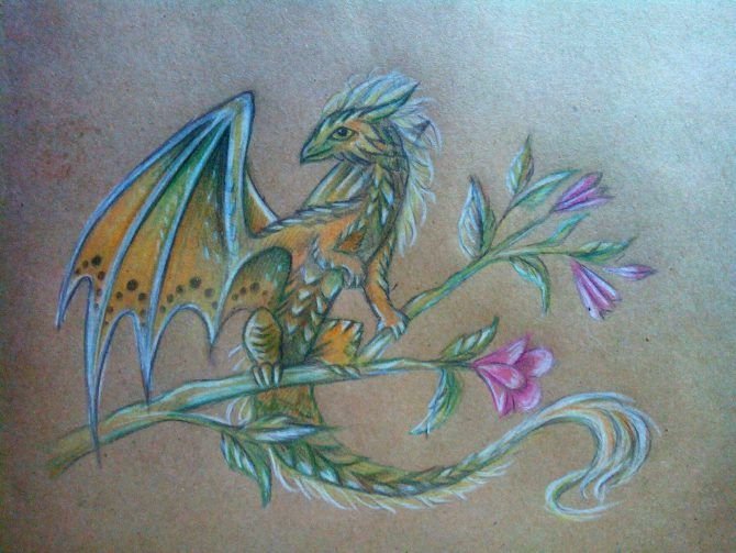 Alvia Alcedo драконы