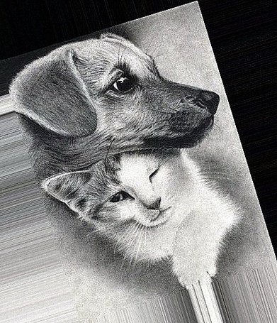 Кошка и собака карандашом