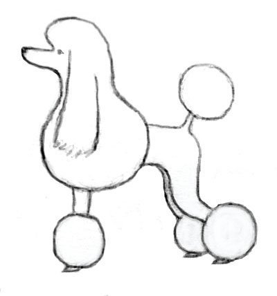 Пудель эскиз