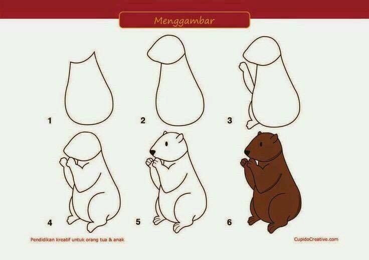 Сурок раскраска для детей