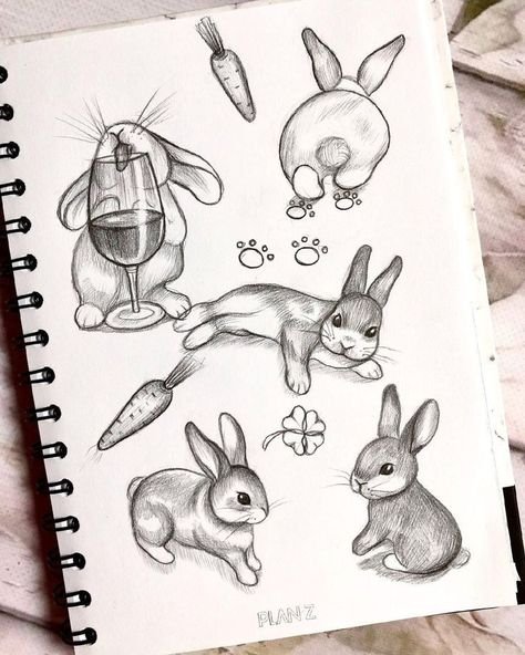 Рисунок кролика для срисовки