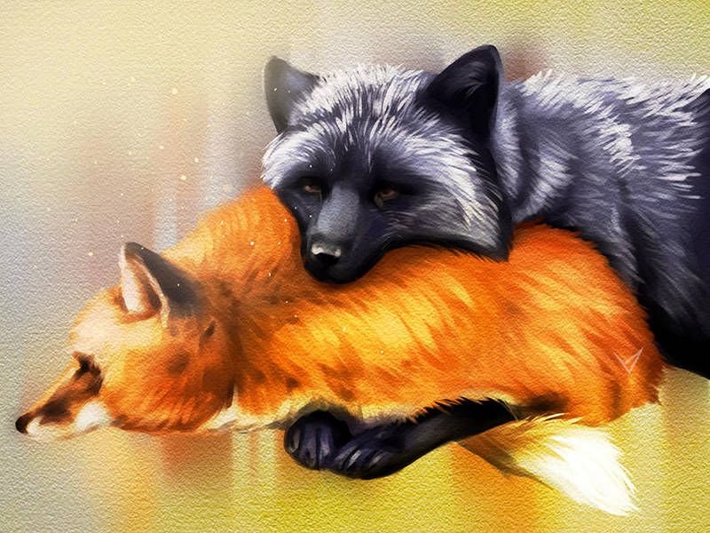Чернобурая лиса Огненная