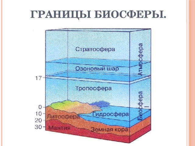 Границы биосферы в литосфере