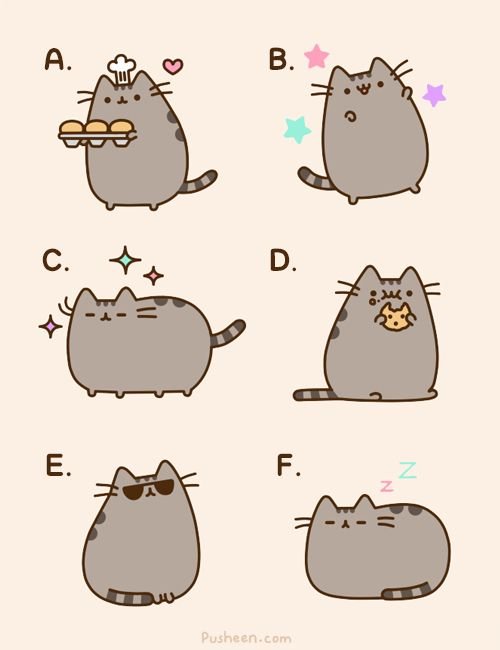 Рисунки котиков