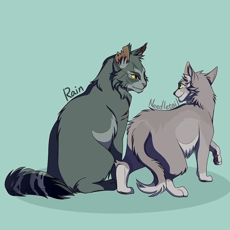 Needletail коты Воители