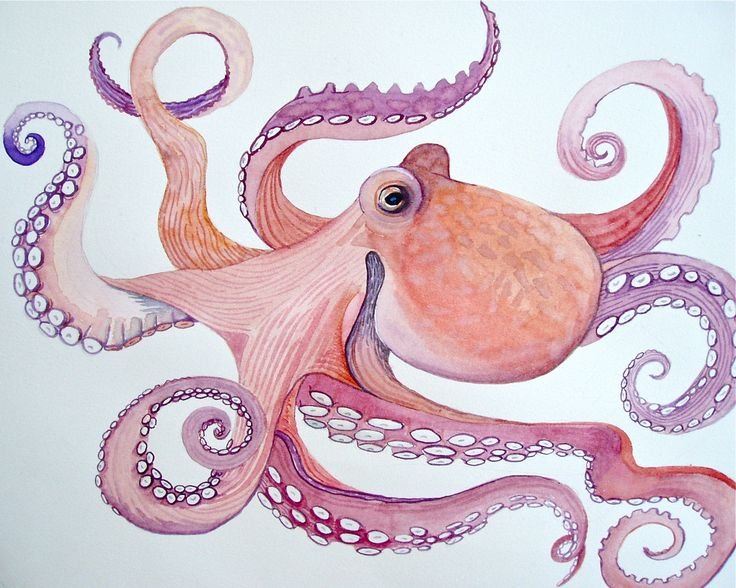 Рисование морские обитатели