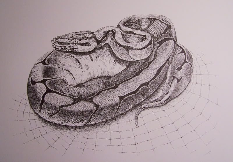 Скетч змеи