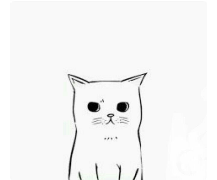 Рисунок кота легкий для срисовки