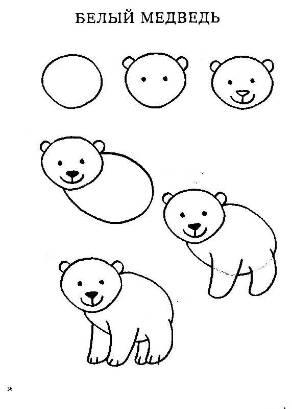 Медведь рисунок карандашом