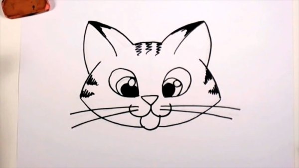 Мордочка кота рисунок простой