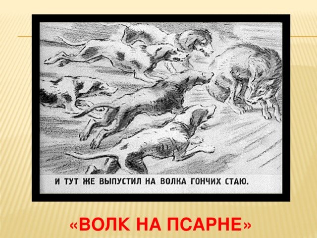Волк в овчарне басня