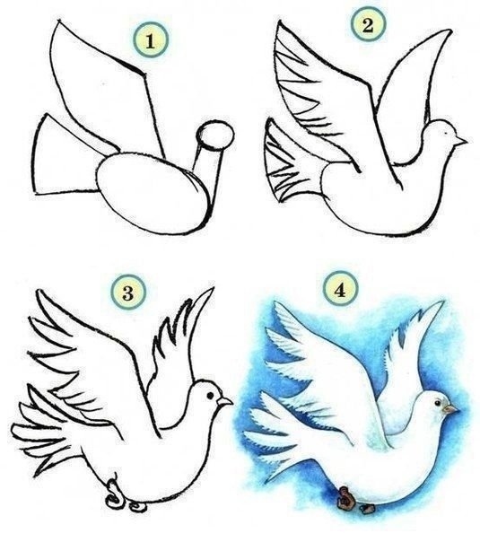 Птица мира