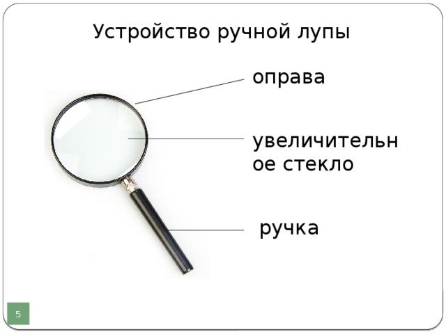 Части лупы биология 5