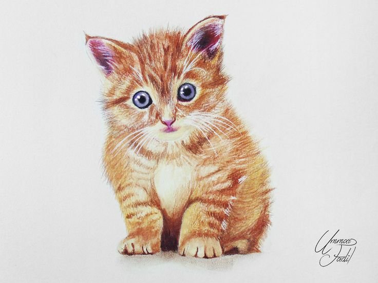 Рыжий котенок рисунок