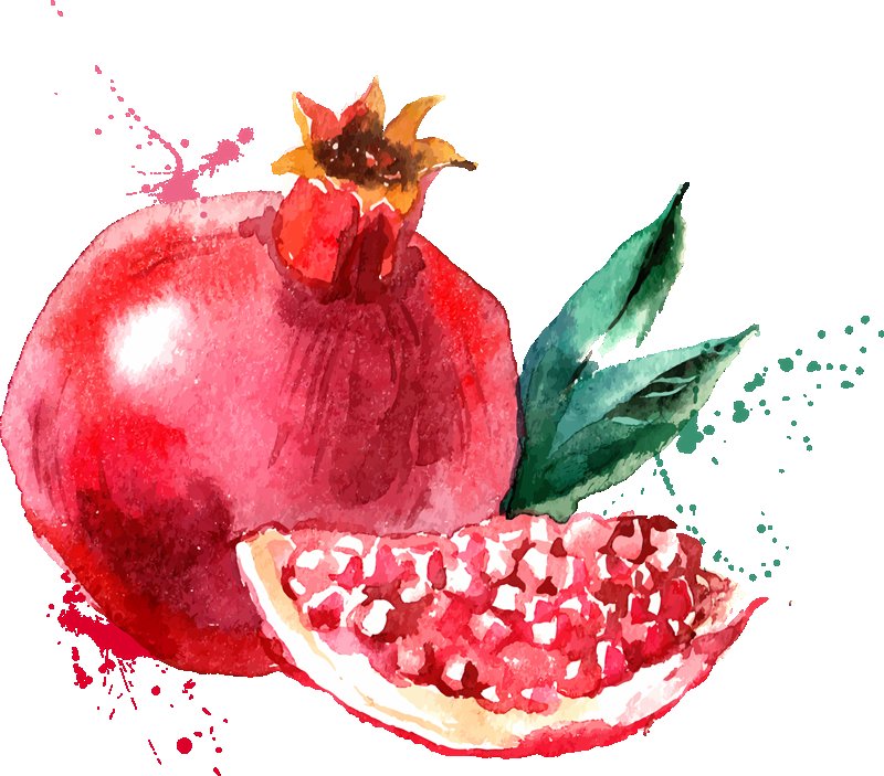 Гранат рисунок