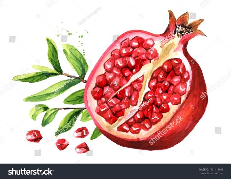 Гранат для рисования