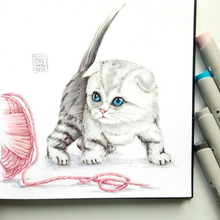 Рисунки котиков
