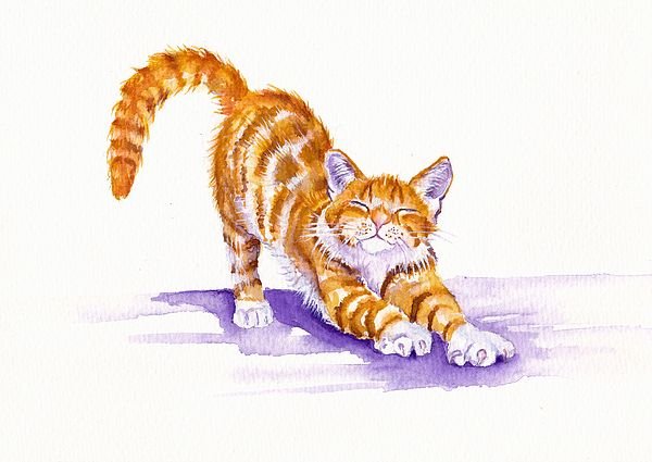 Рисуем рыжего кота