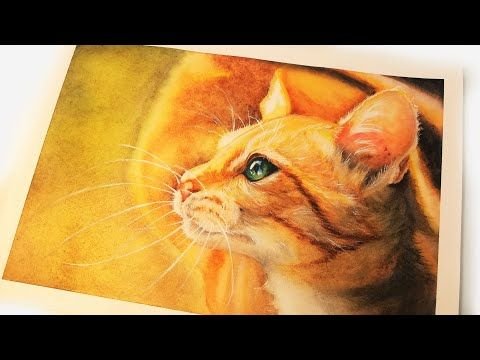Рыжий котик акварелью