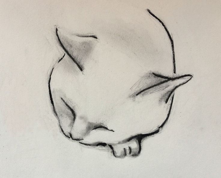 Рисунок легкий