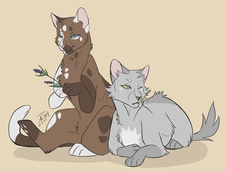 Коты Воители Лужесвет и Ольхогрив