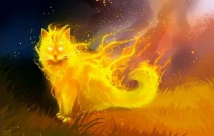 Коты Воители огонёк