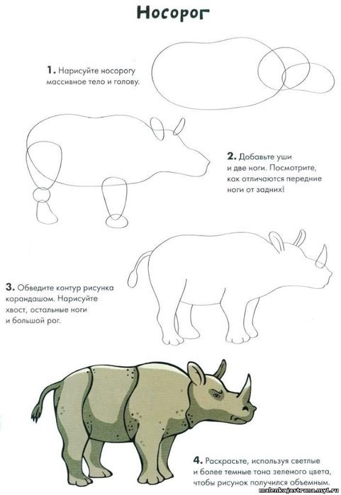 Носорог пошаговое рисование для детей