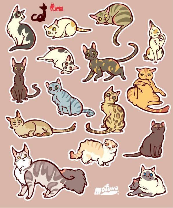 Котик рисунок