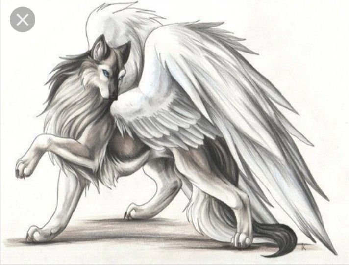 Симуран крылатый волк