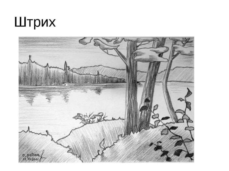 Природа карандашом