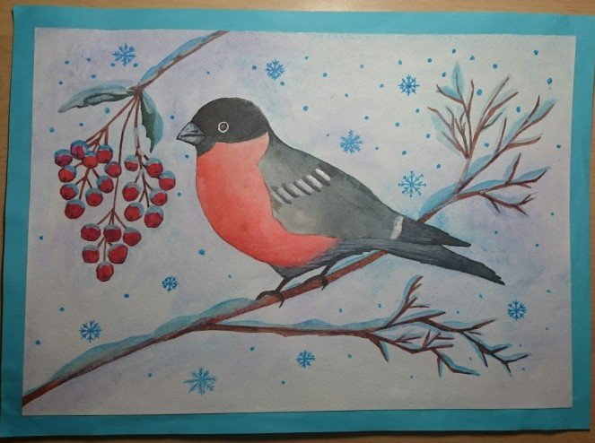 Снегирь рисунок