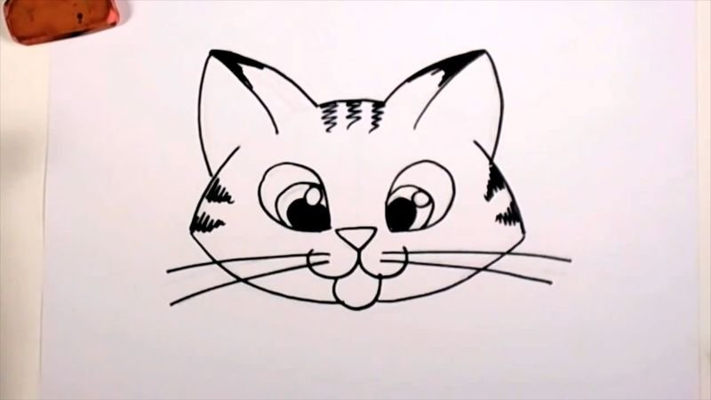Мордочка котенка нарисовать
