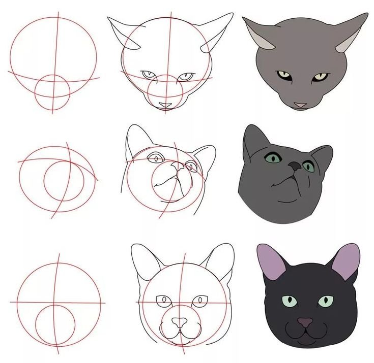 Схема рисования кошки
