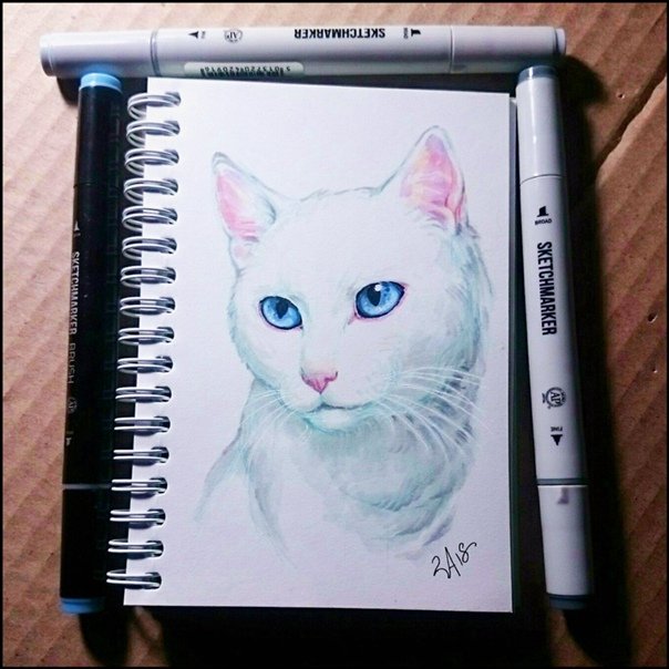Идеи для рисунков котики