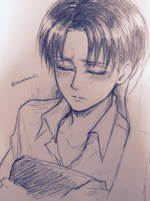 Леви легкие