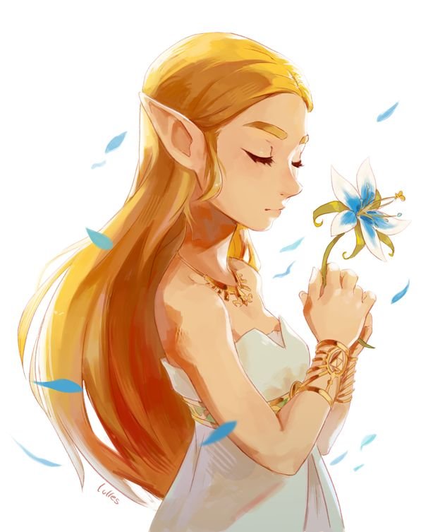 Принцесса Зельда Breath of the Wild