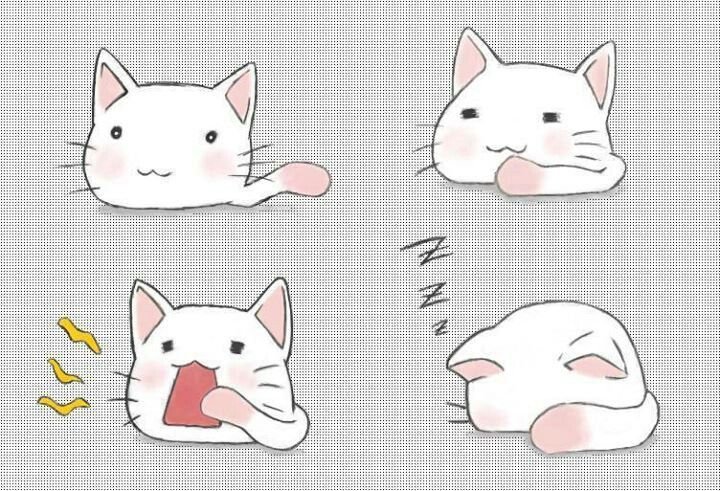 Аниме котики
